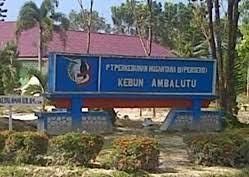 PTPN IV Regional I Kebun Ambalutu Bantah Aniaya Maling Sawit, Ini Kronologisnya