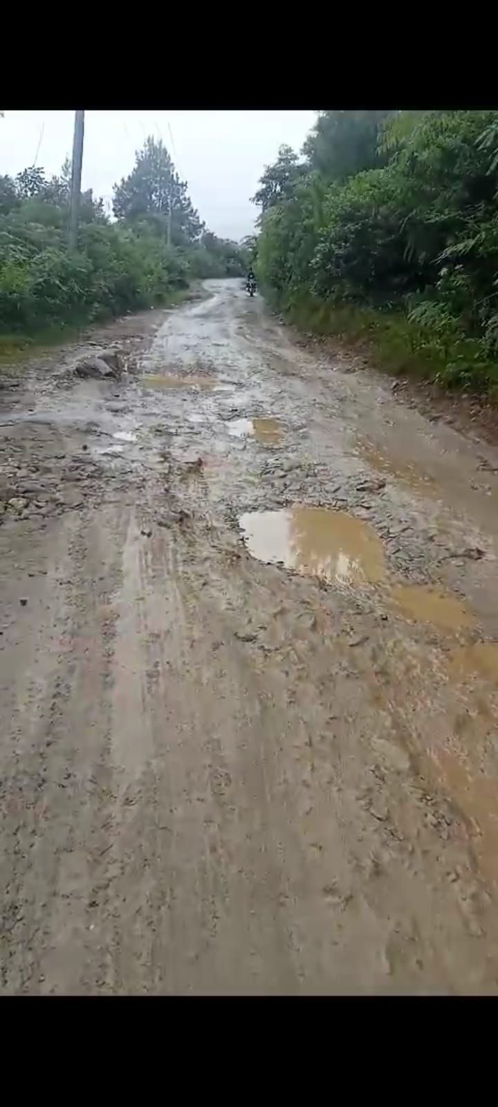 Jalan Provinsi Lintas Silimbat - Parsoburan Memprihatinkan, Maju Manalu: Pemprovsu dan Bupati Toba Harus Turun ke Lapangan