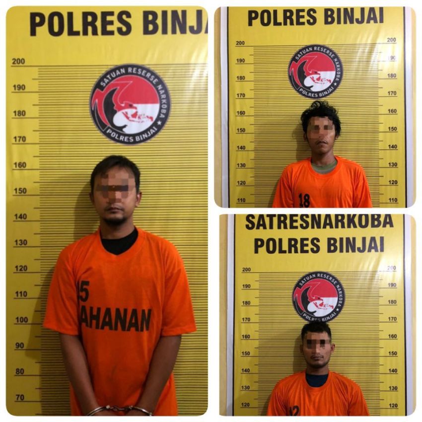 Polres Binjai Bersama Polsek Selesai Tangkap Tiga Pria Diduga Bandar Narkoba Di Kebun Sawit