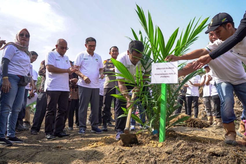 Program Peremajaan Sawit Rakyat (PSR) Jalur Kemitraan Perkebunan Areal Ex Plasma di Kebun Aek Raso