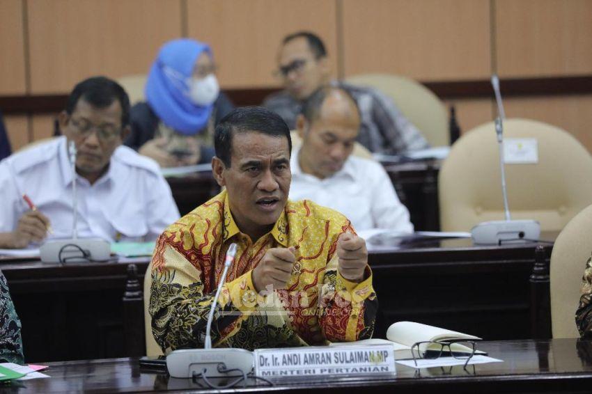 Komite II DPD RI Panggil Menteri Pertanian dan Pihak Terkait Dorong Stabilitas Harga