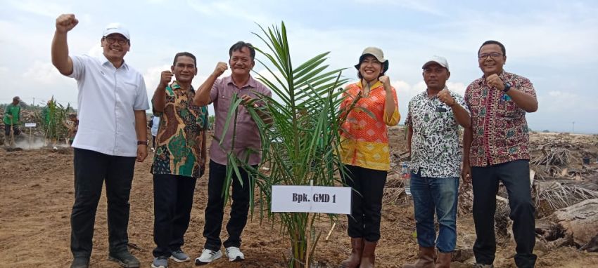 Genjot Capaian Produksi, PTPN IV Regional II Kebun Balimbingan Tanam Perdana Sawit