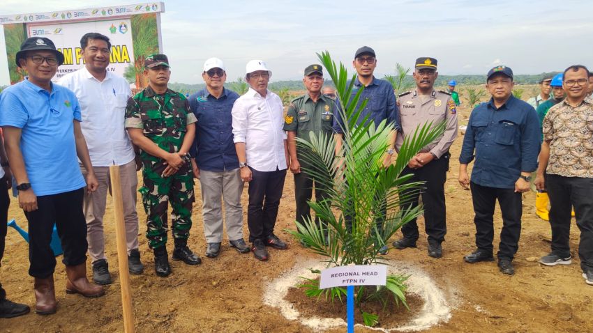 PT. Perkebunan Nusantara IV Regional II Unit Adolina Laksanakan Tanam Perdana