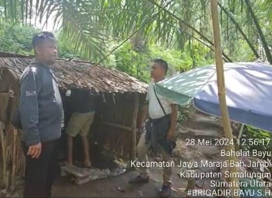 Polsek Tanah Jawa Gerebek Gubuk Sarang Narkoba