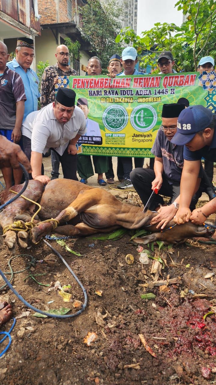 Jamiyah Singapore dan BKPRMI Sebar 1.000 Hewan Qurban di Indonesia