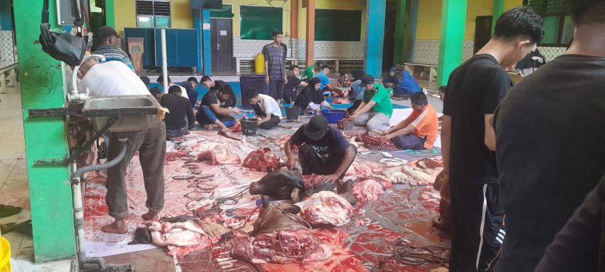 MAN 1 Medan Sembelih 8 Ekor Lembu