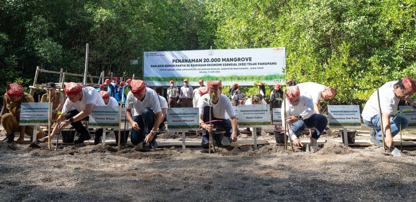 Peringati Hari Lingkungan Hidup Sedunia, Yayasan AHM Tanam Puluhan Ribu Mangrove