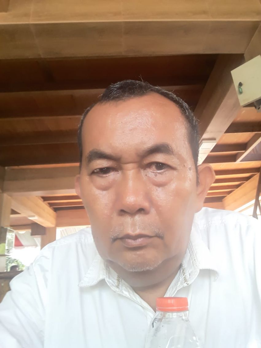 Korwil PMPHI Sumut Kecewa Jika Jokowi Restui Kesang Calon Wagub DKI Jakarta