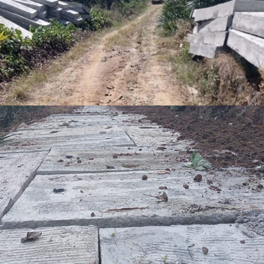 Proyek Jalan Paving Plat Beton di Afd 3 & 4 PTPN IV Regional II Unit Balimbingan Terkesan Asal Jadi