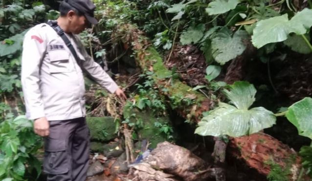 Diduga Dibunuh, Mr X Tanpa Kepala Ditemukan di Hutan Lindung Bandar Baru