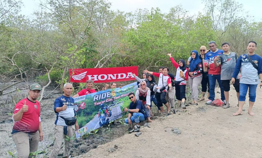 Bantuan Dampak Badai Banjir Pesisir, Honda Lakukan Penanaman Mangrove