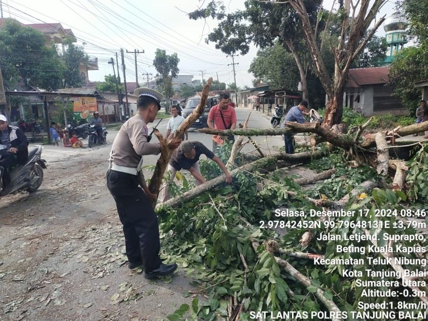 Sat Lantas Polres Tanjungbalai Bersihkan Badan Jalan Diutupi Pohon Tumbang