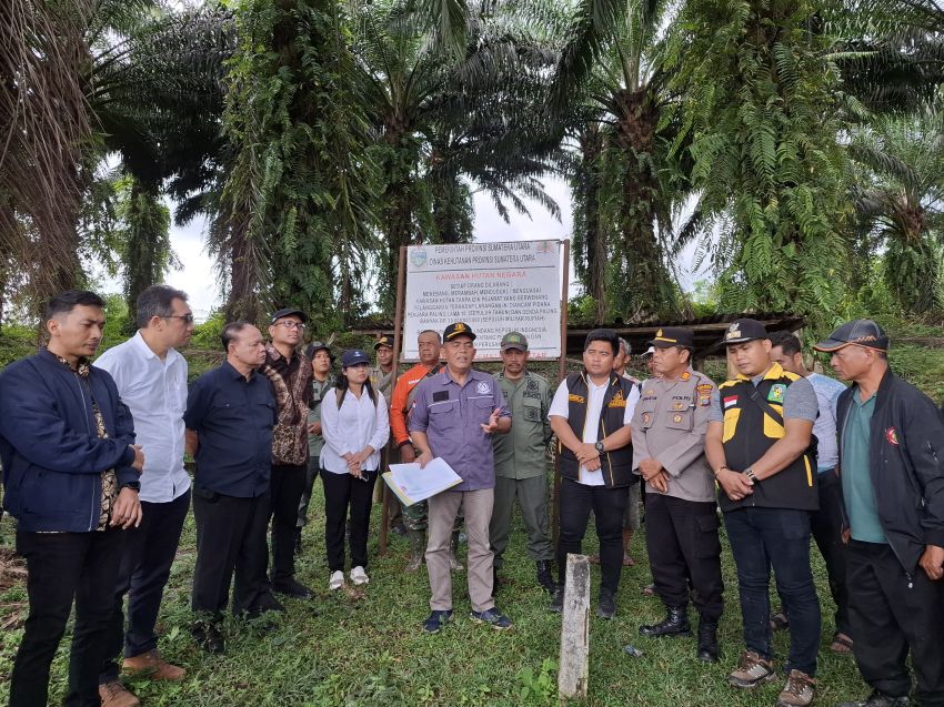 Panen Perdana Kebun Bah Birung Ulu PTPN IV Regional II di Lahan Eks Hutan Berlangsung Lancar