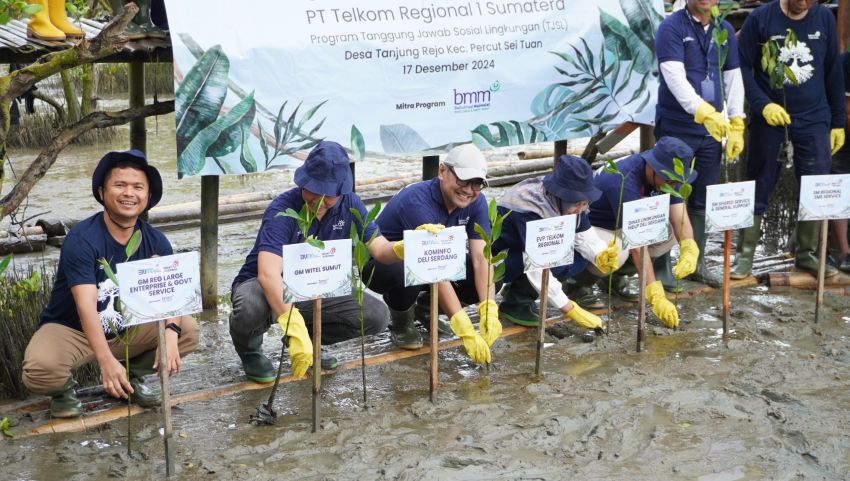 Telkom Regional 1 Tanam 5.000 Bibit-bibit Mangrove di Desa Tanjung Rejo