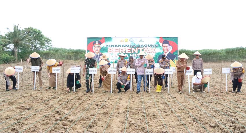 Dukung Ketahanan Pangan, Polres Sergai Bersama Forkopimda Gelar Penanaman Jagung Serentak