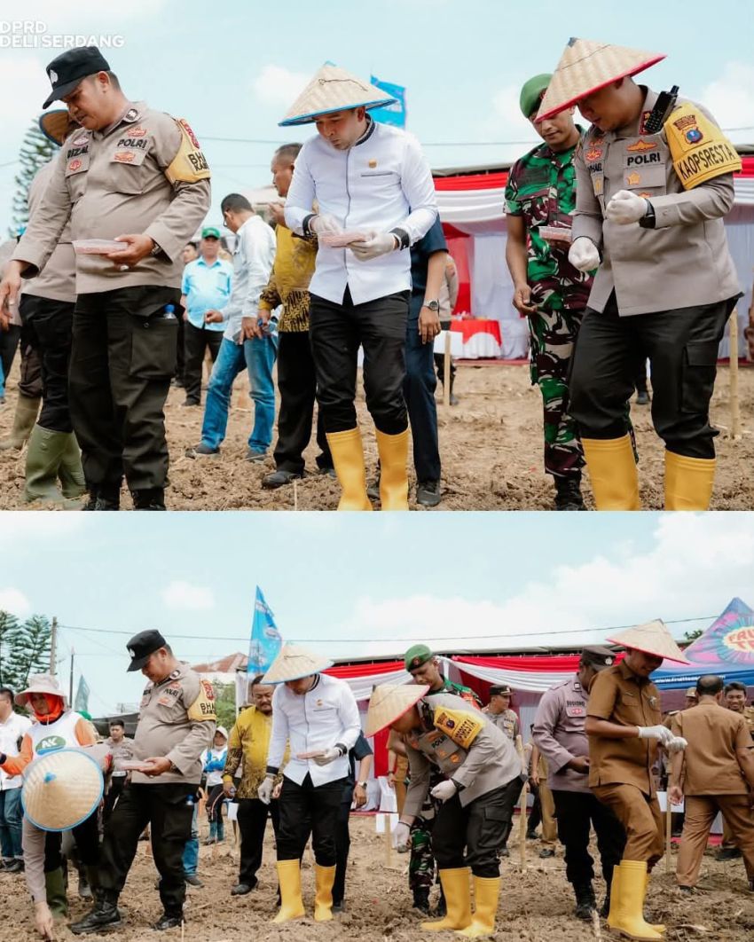 Ketua DPRD Deli Serdang Tanam Jagung Serentak Dukung Program Swasembada Pangan Presiden Prabowo