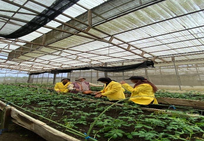 Peningkatan Produktivitas Benih Kentang G2 Di UPT BIH Kutagadung Brastagi Sebagai Pembelajaran Pemuliaan Tanaman