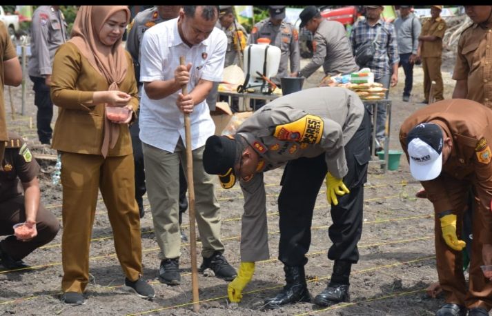 Polres Labusel Gelar Penanaman Jagung Serentak 1 Juta Hektare Secara Nasional di Torgamba