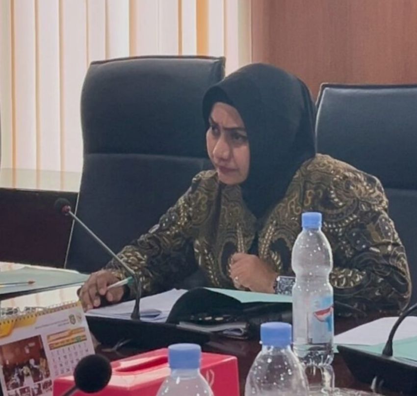 Banjir di Glugur Medan Ciptakan Telaga, Anggota DPRD Laila Bereaksi