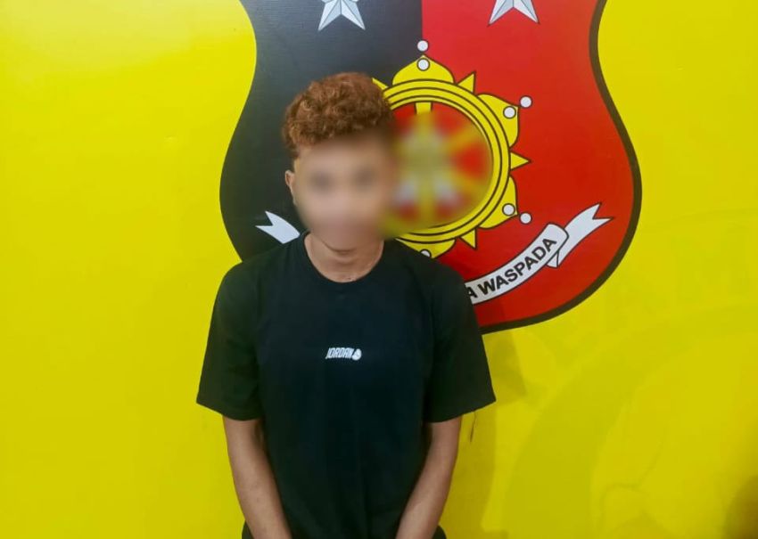 Polsek Kualuh Hulu Ringkus Pencuri di Alpamidi Kanopan