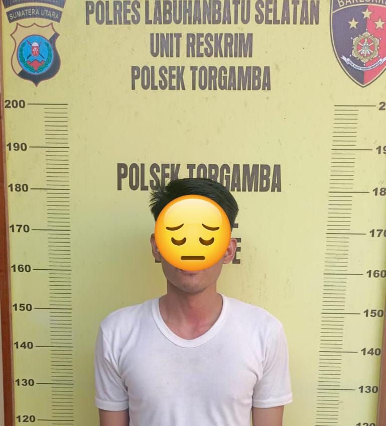 Polsek Torgamba Tangkap Dua Pemilik Sabu Dalam Mobil