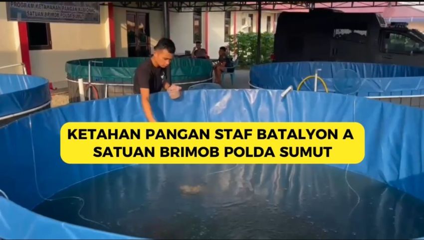 Brimob Polda Sumut Produktif Kelola Lahan Untuk Ketahanan Pangan