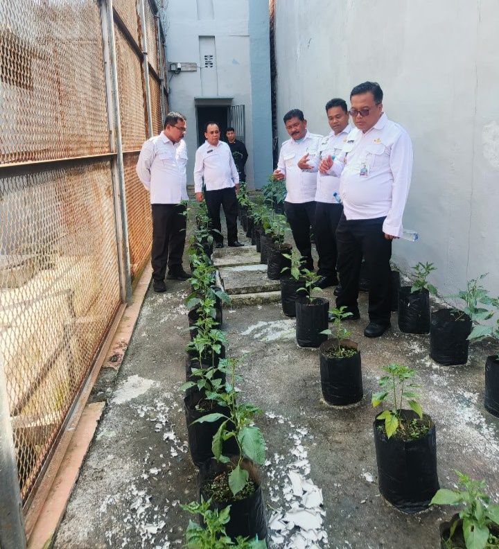 Dukung Ketapang, Kalapas Pancur Batu Cek Pertumbuhan Cabai di Area Branggang