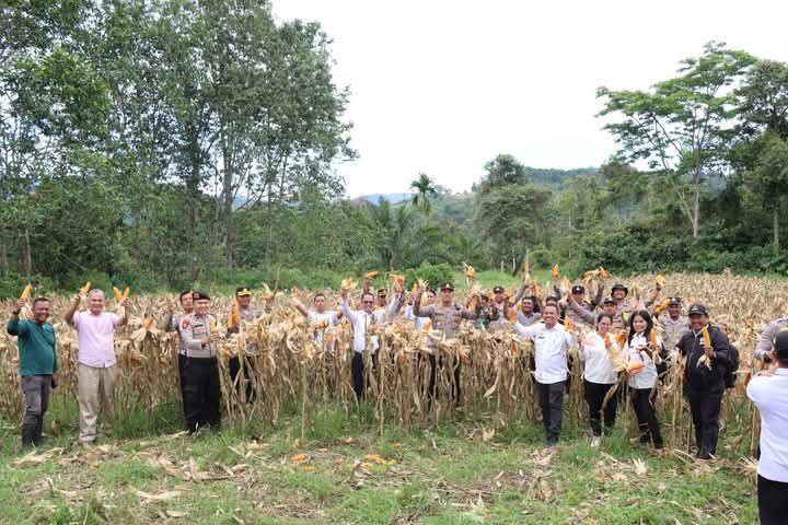 Sekda bersama Kapolres Pakpak Bharat Panen Raya Jagung Tahap I