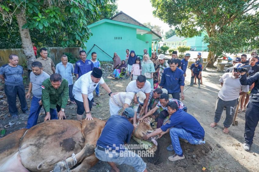 Bupati Batu Bara Serahkan Hewan Qurban dari Presiden RI
