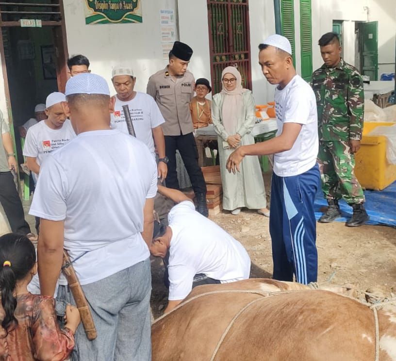 Serdang Bedagai Terima Hewan Qurban Limosin dari Presiden Prabowo