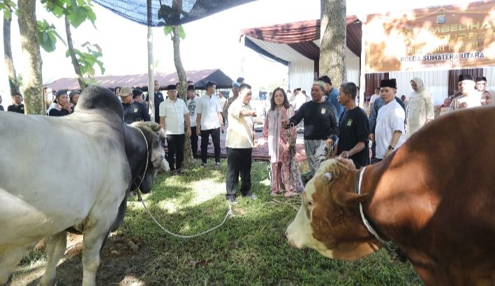 Polda Sumut Salurkan Ribuan Paket Daging Kurban untuk Masyarakat di Hari Raya Iduladha 1446 H