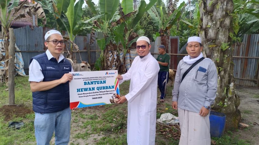 Menjalin Kebersamaan di Hari Raya Idul Adha 1446 H, INALUM Salurkan 47 Hewan Kurban untuk Masyarakat Sekitar Wilayah Operasional