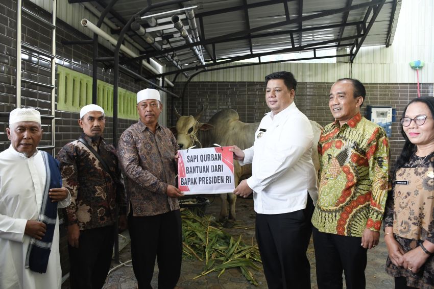 Presiden RI Prabowo Subianto Serahkan Hewan Kurban Untuk Umat Muslim di Samosir
