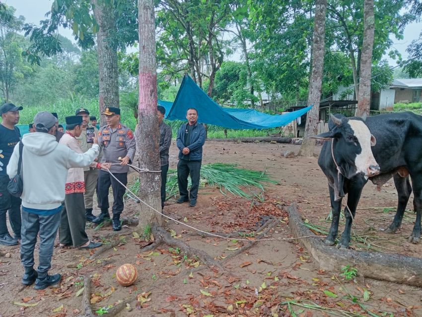 Dalam Rangka Idul Adha 1446 H, Kapolres Pakpak Bharat Berikan Satu Ekor Sapi Bantuan Kapolda Sumut Kepada Pesantren As Syahaadah