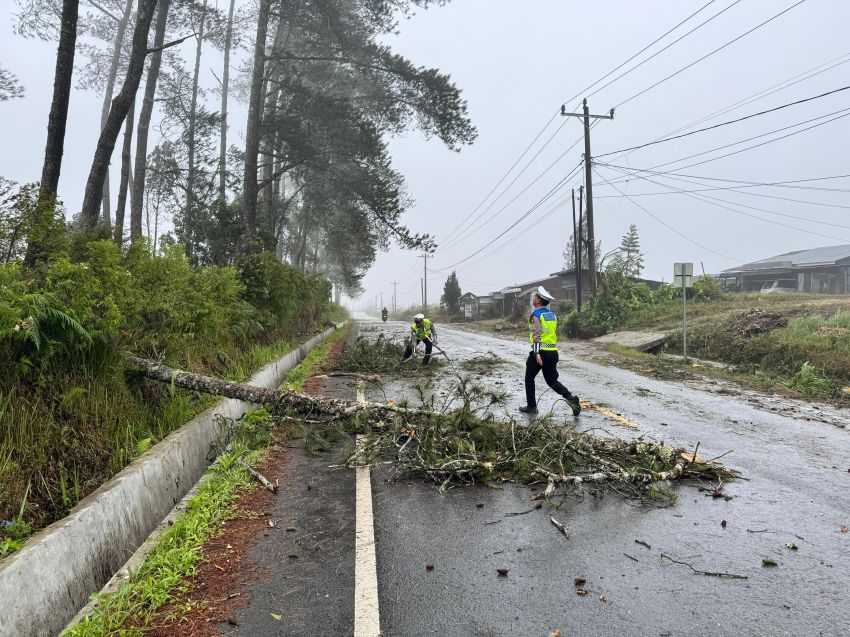 Satlantas Polres Samosir Bersihkan Pohon Tumbang di Jalan Umum Dolok Sanggul - Sidikalang