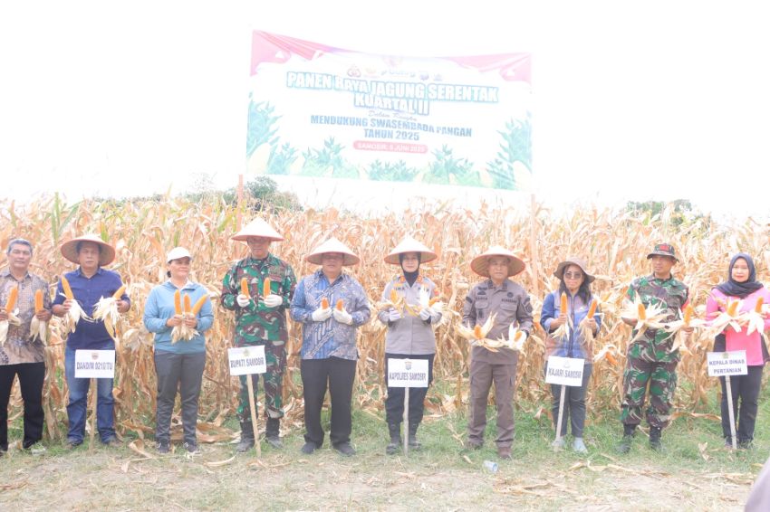 Sinergi Polri dengan Pemerintah Kabupaten Samosir Panen Jagung 30 Ton Program Ketahanan Pangan