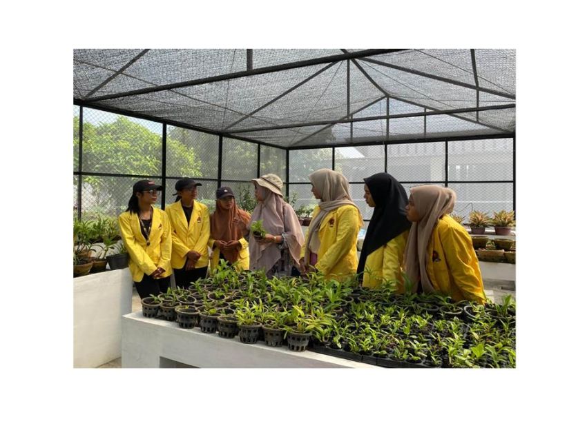 Program MBKM-MAGANG : "Pengembangan Benih Hortikultura Unggul, Dalam Pemuliaan Tanaman di UPTD BIH Gedung Johor" Mahasiswa Program Studi Agroteknologi