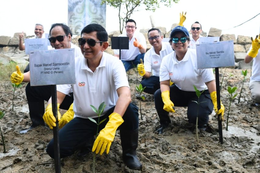 INALUM Perkuat Strategi Dekarbonisasi melalui Restorasi Mangrove Bersama Grup MIND ID