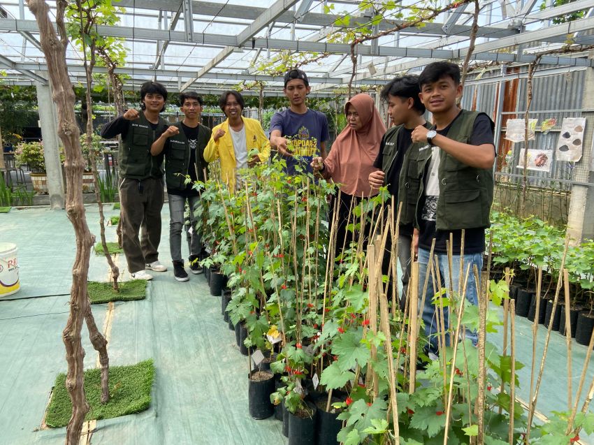 Budidaya dan Pembibitan Anggur di Jagad Farm Binjai Utara Sebagai Pembelajaran Dasar Agronomi Mahasiswa Program Studi Agroteknologi Unpad