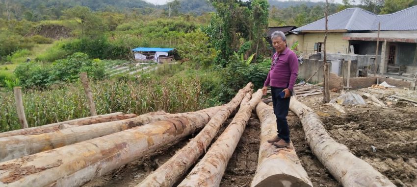 Masih Maraknya Peredaran Kayu Di Taput, Kadis LHK Sumut Di Desak Copot KPHL XII