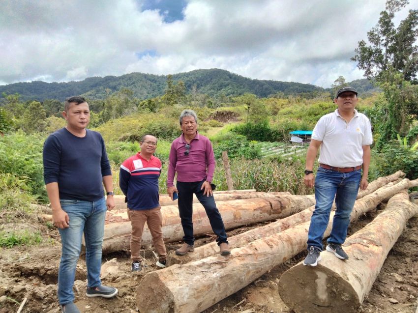 KPHL XII Tarutung ' Tutup Mata ' Atas Penebangan dan Produksi Kayu Alam di Sisoding Parmonangan