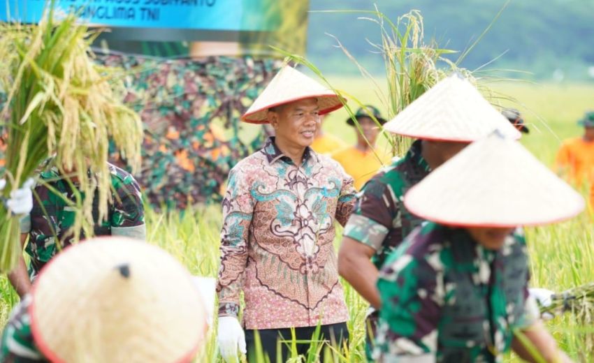 Pemkab Langkat Dukung TNI Perkuat Ketahanan Pangan Lewat Panen Raya di Deli Serdang