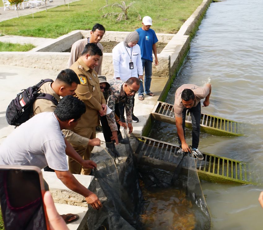Kolaborasi LKBN ANTARA Bersama Pemkab Samosir, Tebar 3.000 Benih Ikan Mas Jaga Kelestarian Alam Danau Toba