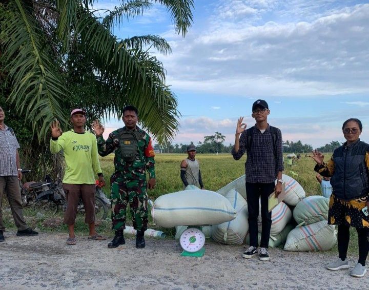 Perum Bulog KC Asahan Akan Melakukan Pembelian Gabah Kering Panen Petani di 3 Kabupaten/Kota