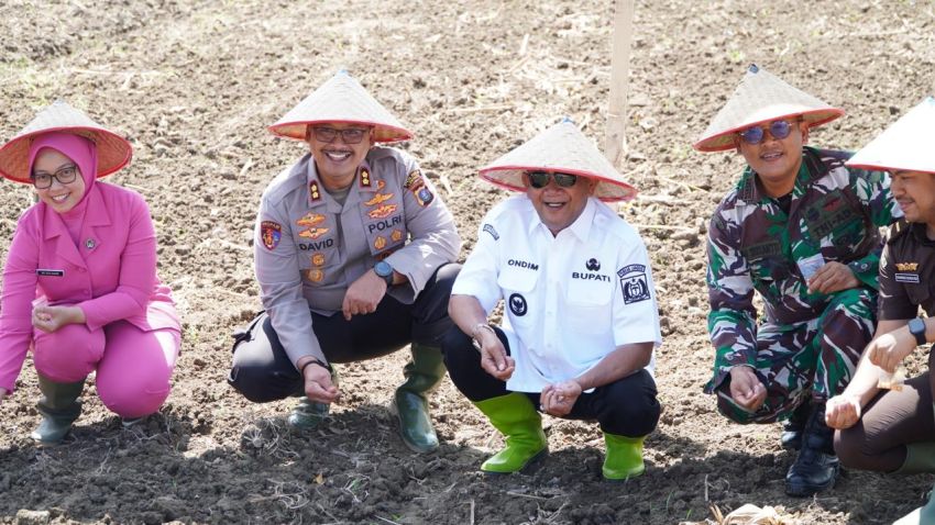 Bupati Syah Afandin Dukung Penanaman Jagung Serentak Kuartal IV untuk Perkuat Ketahanan Pangan Langkat