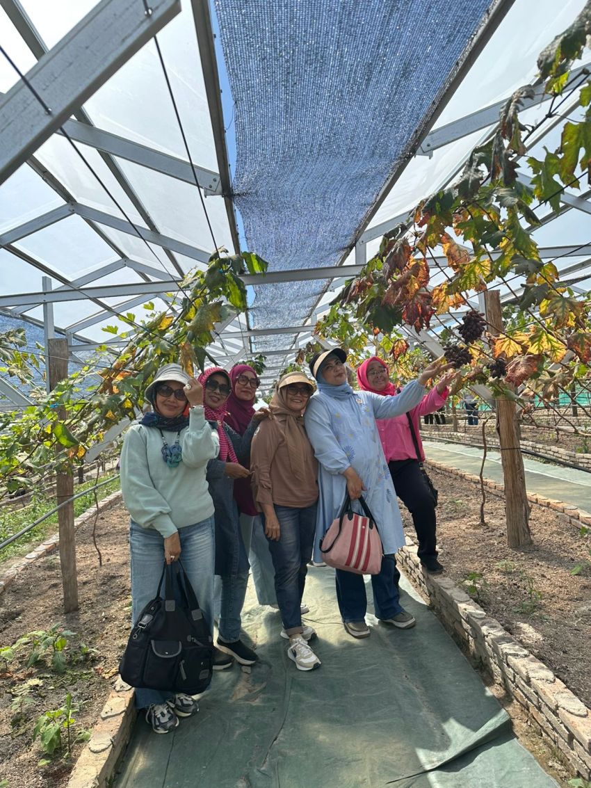 Jelang Hari Ibu, IKWI PWI Sumut Berwisata Nikmati Destinasi Kebun Anggur di Karo