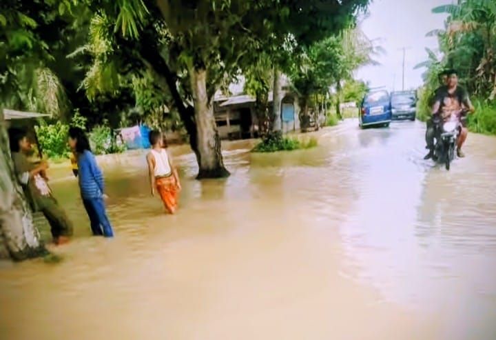 Banjir di Medang Deras Semakin Meluas, 65 Rumah dan 1 Sekolah Terendam, 96 Ha Lahan Pertanian Terancam Panen