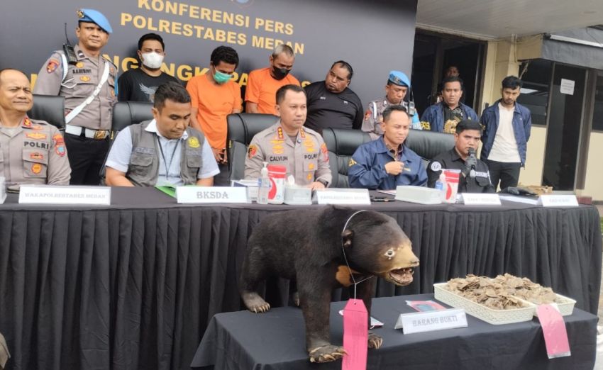 Polrestabes Medan Bongkar Penjualan Satwa Dilindungi Via Market Place