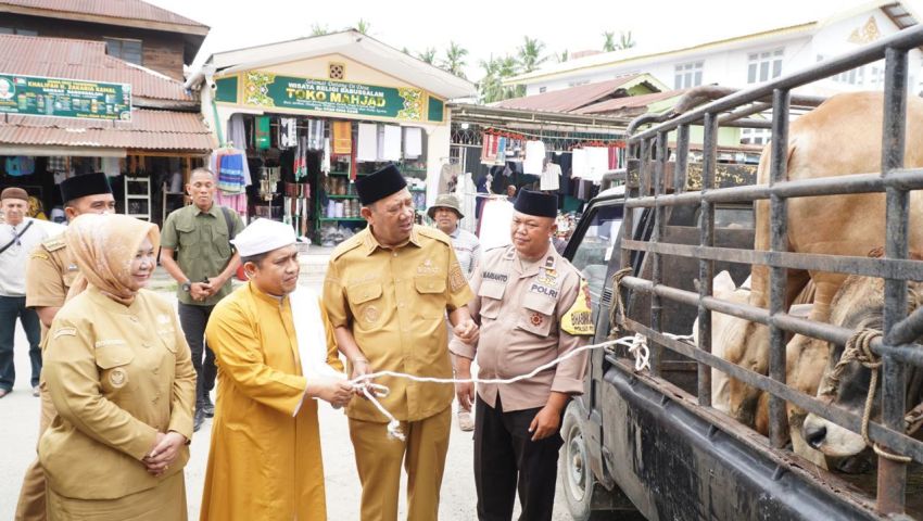 Syah Afandin Serahkan Bantuan 3 Ekor Lembu untuk Haul Tuan Guru Besilam ke-102