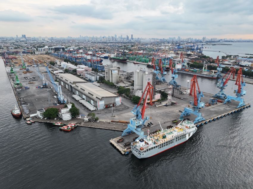 PTP Nonpetikemas Catat Kinerja Positif di Triwulan III 2025